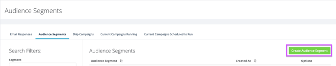 Create Audience Segment button